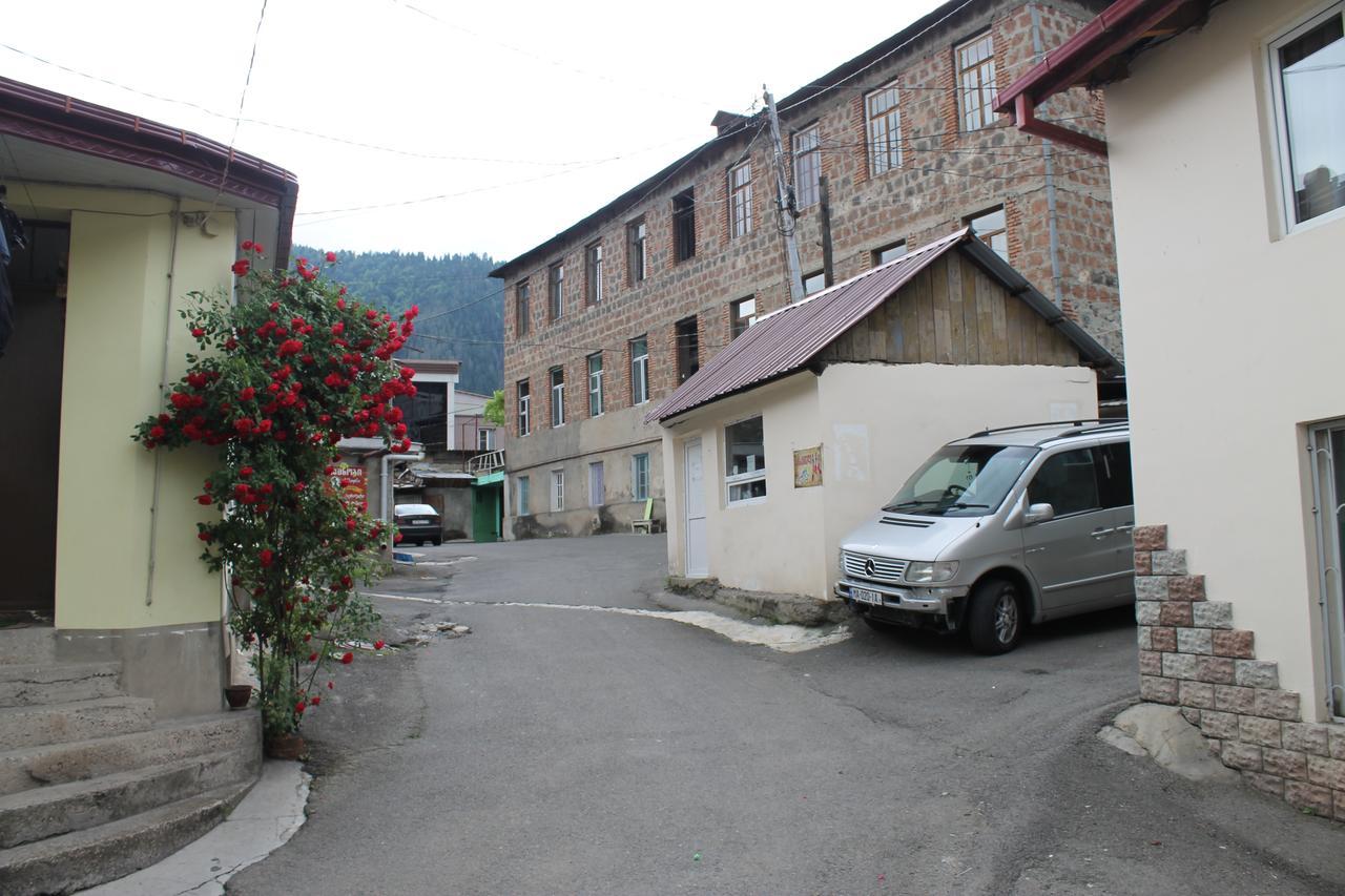 Salomes Apartment Tuti Borjomi Exterior photo